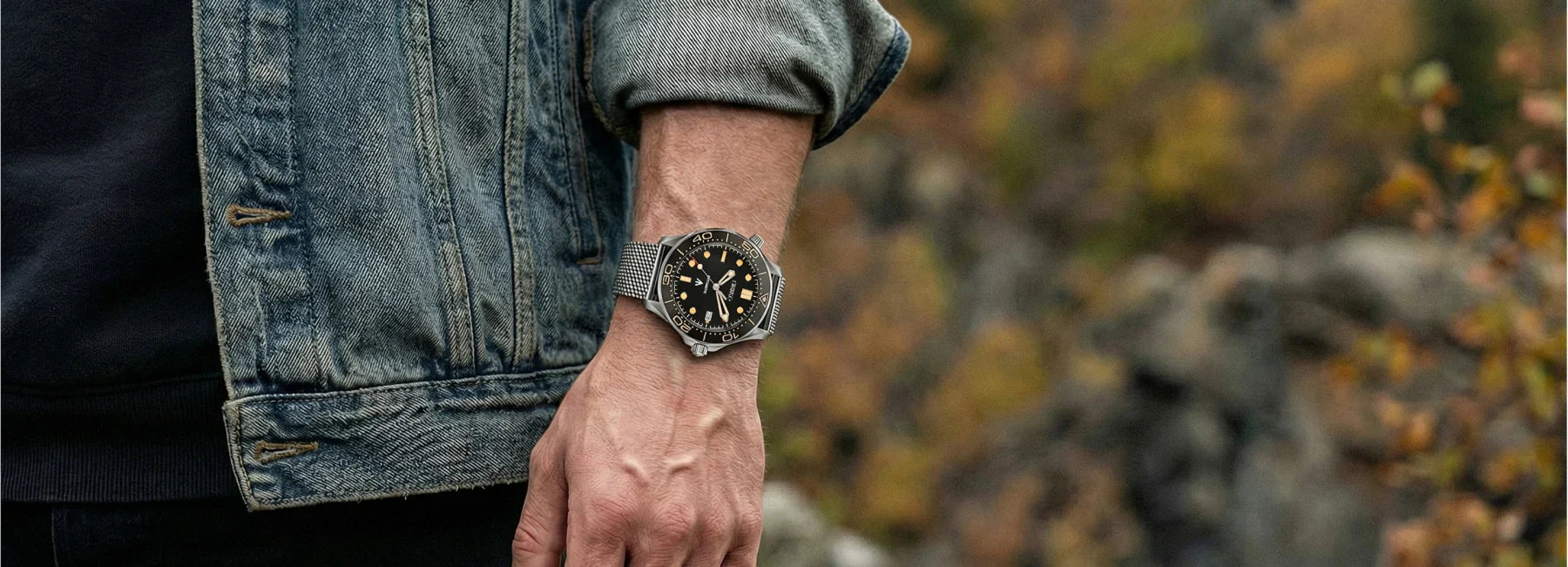 Seiko Mod Seamaster Collection